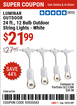 24 Ft. 12 Bulb Outdoor String Lights - White