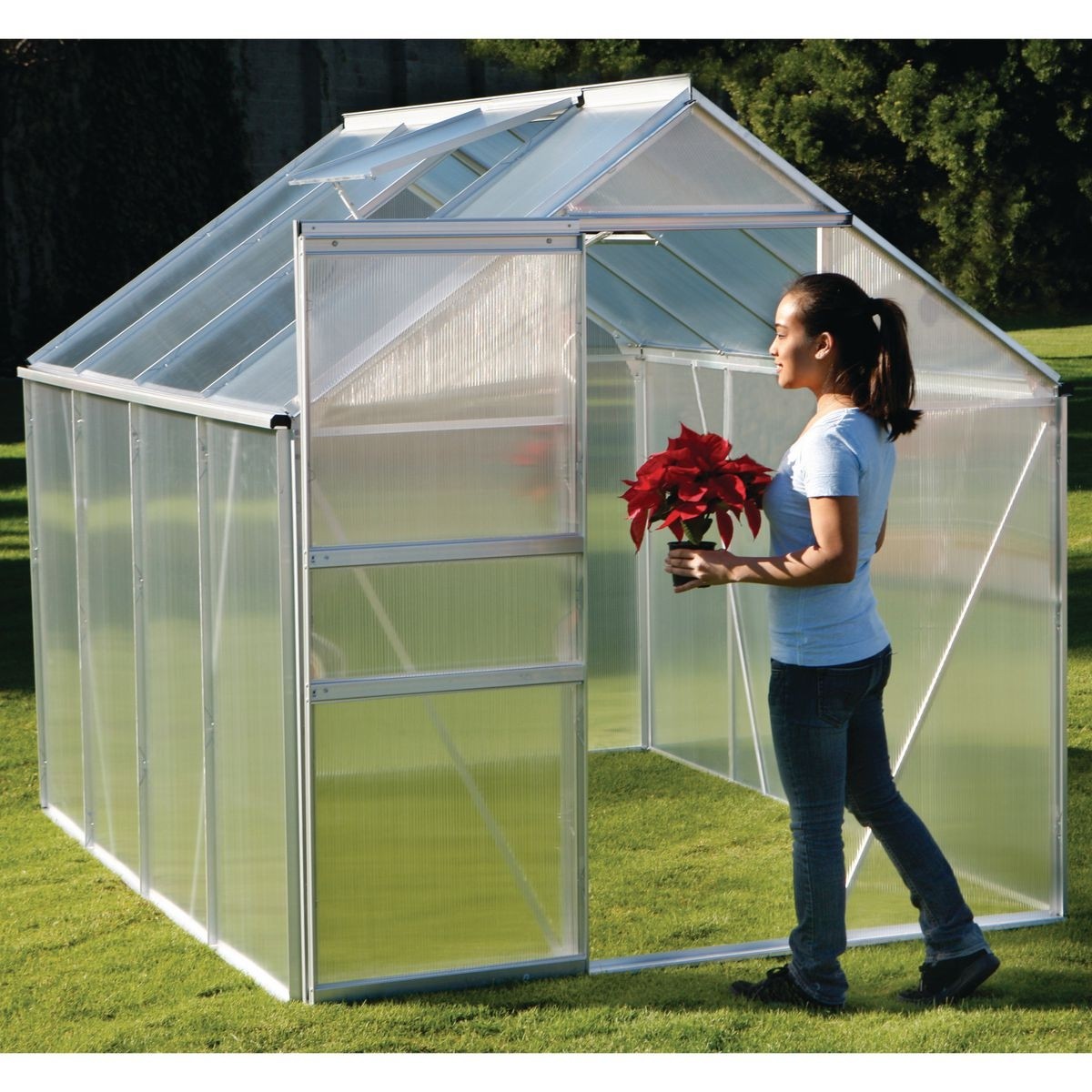 ONE STOP GARDENS 6 ft. x 8 ft. Greenhouse - Item 47712 / 63354 / 69714