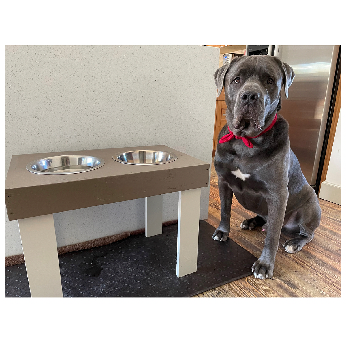 DIY Raised dog bowls / pet feeder - dog bowl holder -pallet wood