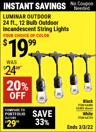 Buy the LUMINAR OUTDOOR 24 Ft. 12 Bulb Outdoor String Lights (Item 63483/64486/64739) for $19.99, valid through 3/3/2022.